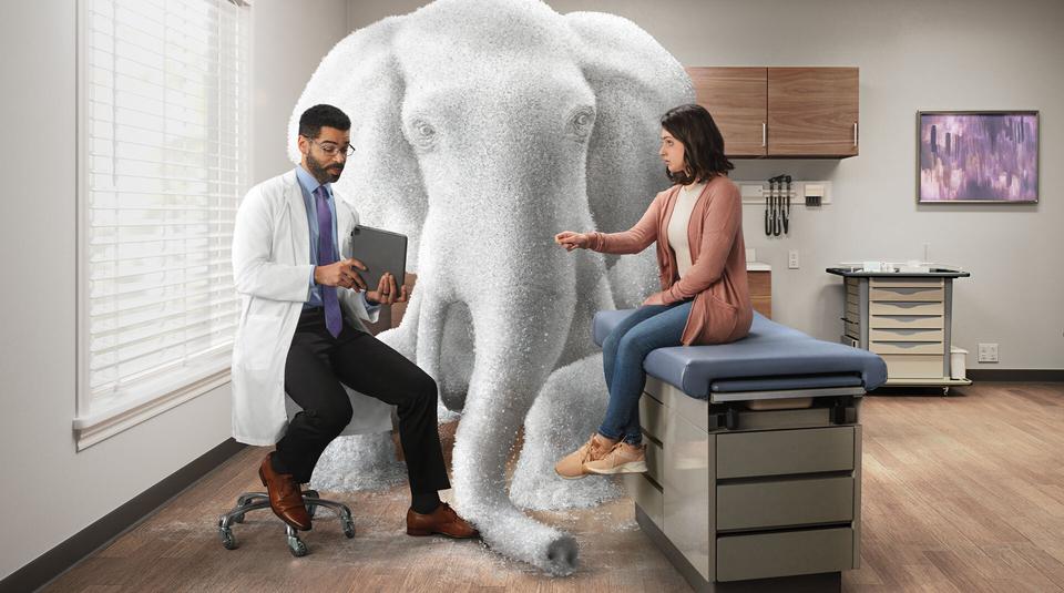 Patient speaking to a doctor with an elephant (made of salt) in the room